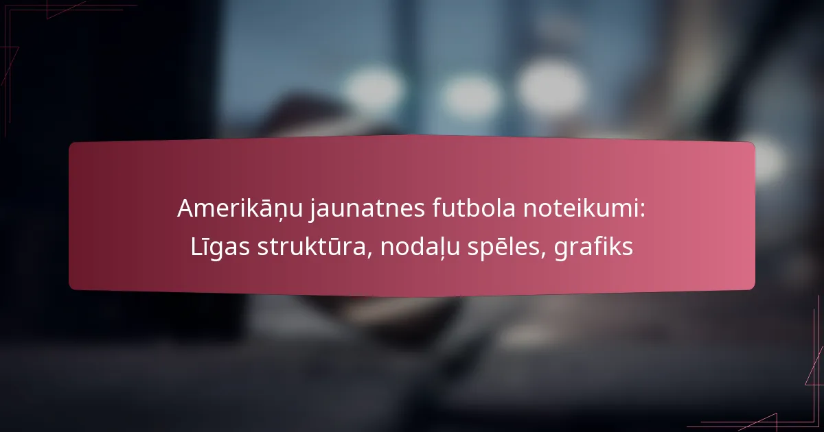 Amerikāņu jaunatnes futbola noteikumi: Līgas struktūra, nodaļu spēles, grafiks